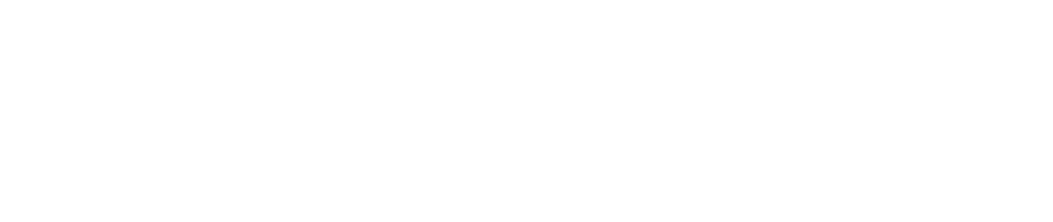 INFOPEDIA